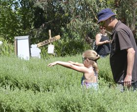 Hedgend Maze And Healesville Laser Sport - Travel Agents 2