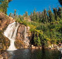 Steavenson Falls Marysville - Travel Agents