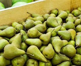 Dandenong Market - Tourism Guide 1
