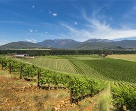 Feathertop Winery - Tourism Guide 3