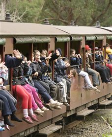 Puffing Billy Steam Railway - Travel Agents 1