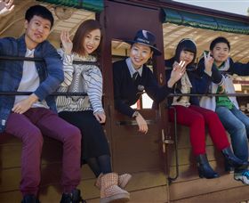 Puffing Billy Steam Railway - Travel Agents 3