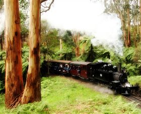 Puffing Billy Steam Railway - Travel Agents 5
