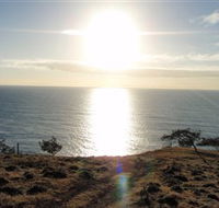 Southend Curtis Island - Tourism Guide