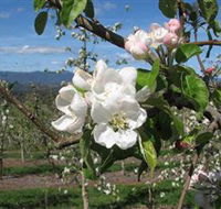 Mouat's Farm - Tourism Guide