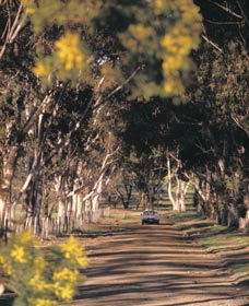 Albert Facey Heritage Trail - Cruises Travel 0