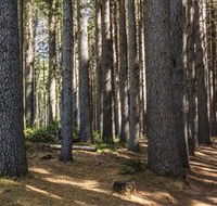 Sugarpine Walk - Tourism Guide