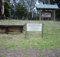 Shelley Forest Camp - Cruises Travel