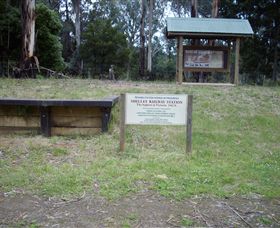 Shelley Forest Camp - Cruises Travel 0