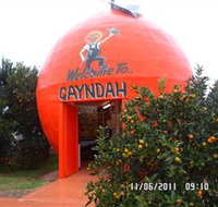 Gayndahs Big Orange - Tourism Guide
