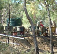 7 Oaks Sapphire Fossicking - Tourism Guide