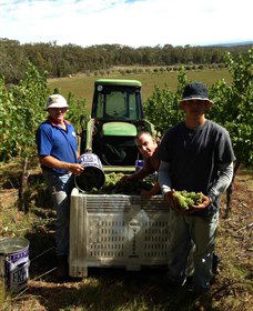 Toppers Mountain Wines - Travel Agents 2