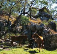 Coomba Falls - Tourism Guide