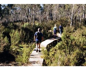 Hume And Hovell Walking Track - Henry Angel Trackhead - Travel Agents 0