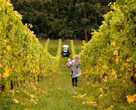 Polperro Winery - Tourism Guide 7