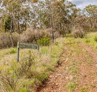 Old Mountain Road Walking Track - Cruises Travel