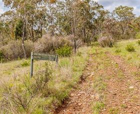 Old Mountain Road Walking Track - Travel Agents 0