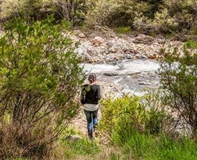 Old Mountain Road Walking Track - Travel Agents 1