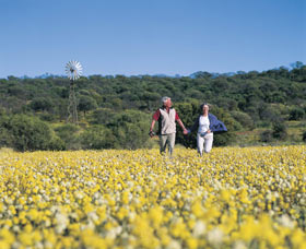 Koolanooka Springs - Travel Agents 0
