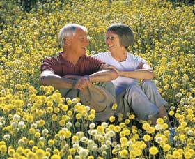 Koolanooka Springs - Travel Agents 3