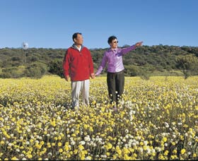 Koolanooka Springs - Travel Agents 1