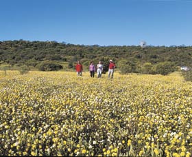 Koolanooka Springs - Travel Agents 2