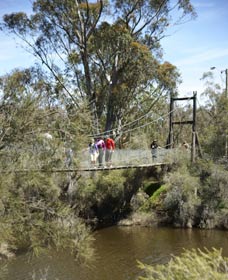 Avon Park - Tourism Guide 0