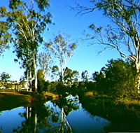 Dingo Creek Park - Tourism Guide