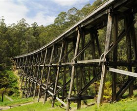 Noojee Trestle Bridge - Tourism Guide 0