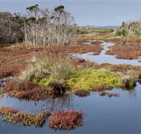 French Island National Park - Tourism Guide
