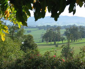 Brandy Creek Wines & View Cafe - Tourism Guide 5