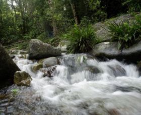 Washpool National Park - Travel Agents 0