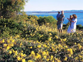 Seventeen Seventy QLD Tourism Guide