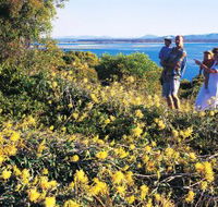 Joseph Banks Conservation Park - Tourism Guide