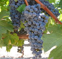 Joshuas Fault Wine - Travel Agents