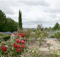 Crystal Brook Lavender Farm - Travel Agents