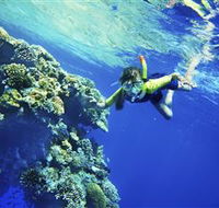 My Mates Tours - Cruises Travel