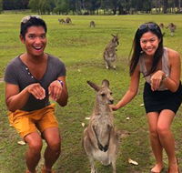 Runaway Tours - Cruises Travel
