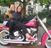 Wild Ride Harley and Motorcycle Tours - Tourism Guide