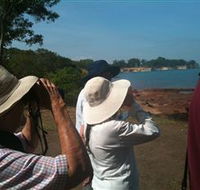 Follow That Bird - Cruises Travel
