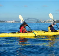Lifes an Adventure - Cruises Travel