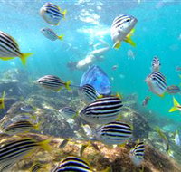 EcoTreasures - Tourism Guide