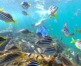 EcoTreasures - Travel Agents 0