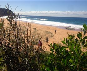 EcoTreasures - Travel Agents 2