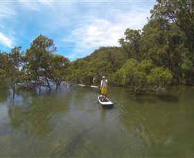 EcoTreasures - Travel Agents 1