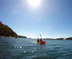 EcoTreasures - Travel Agents 4