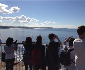 EcoTreasures - Travel Agents 3