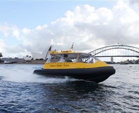 Yellow Water Taxis - Tourism Guide 0