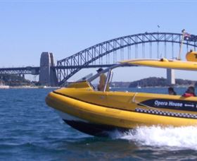 Yellow Water Taxis - Tourism Guide 1