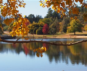 Ross Garden Tours - Tourism Guide 0